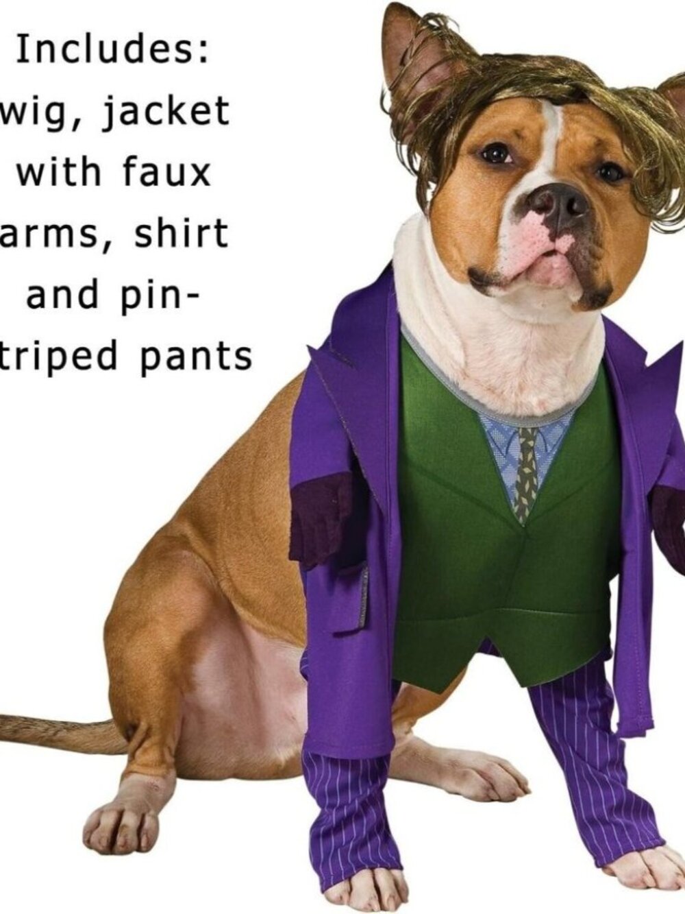 NWT Batman The Dark Knight THE JOKER™ Size XLarge Dog Costume